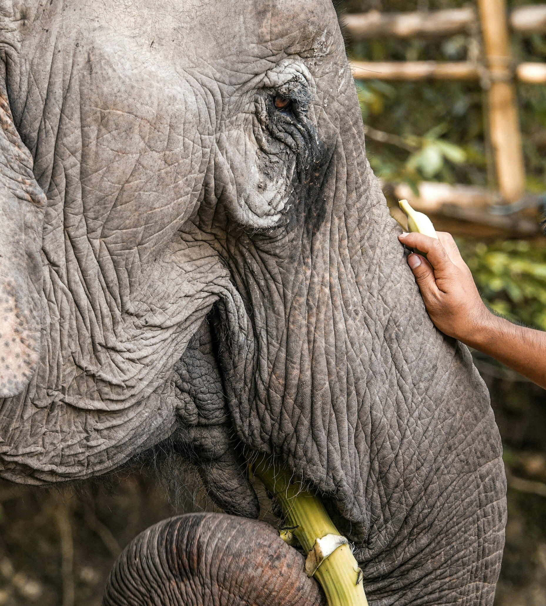 Hopeful Earth: The HOW