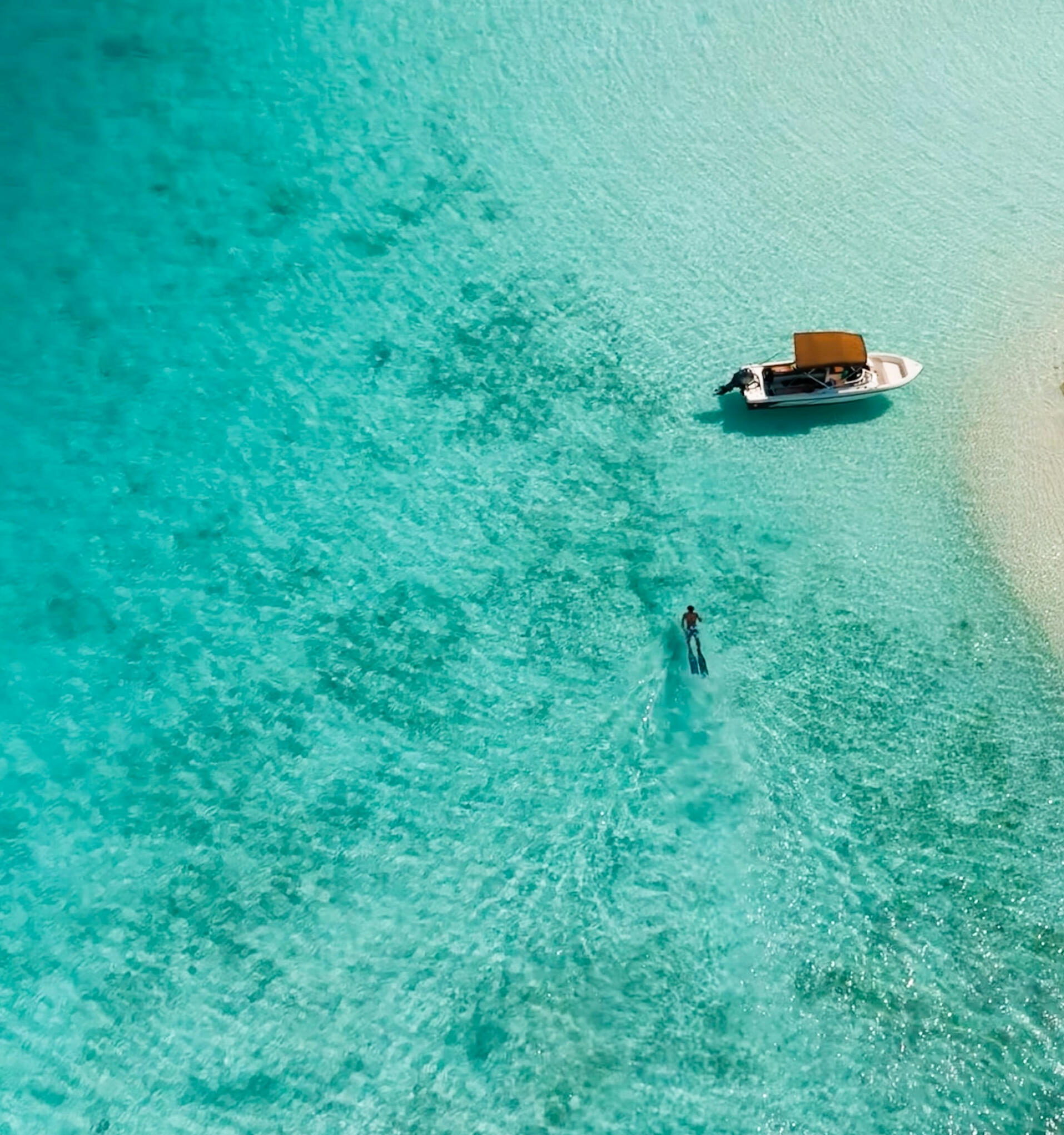 Hopeful Earth: The WHAT